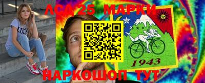 индика Обнинск