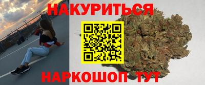 индика Обнинск
