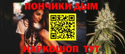 индика Обнинск