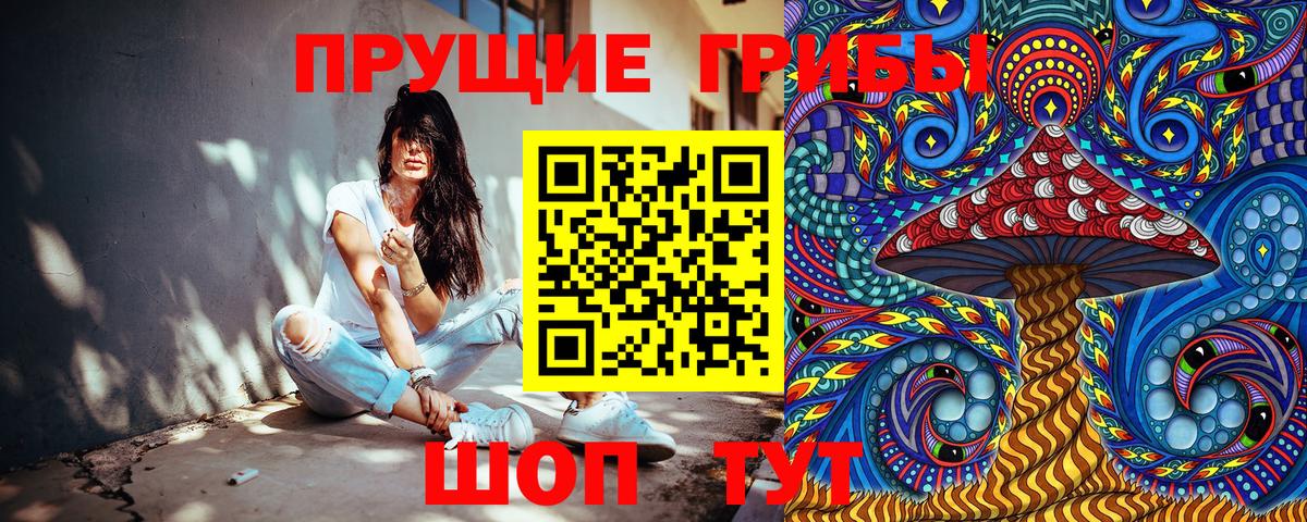 закладки  Псилоцибиновые грибы Psilocybe  Вход с VPN  Северск 